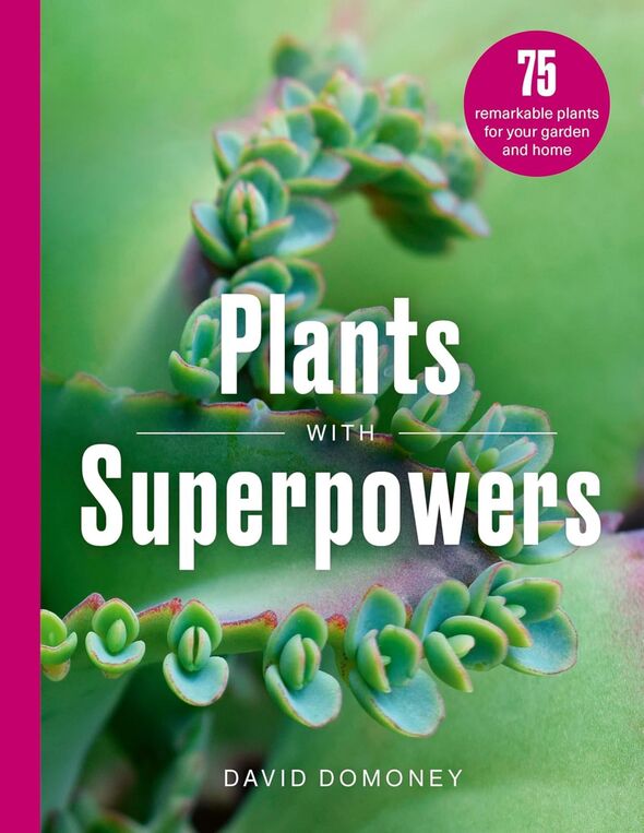 Plants with Superpowers book cxover