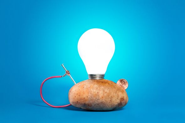 A potato and a light bulb