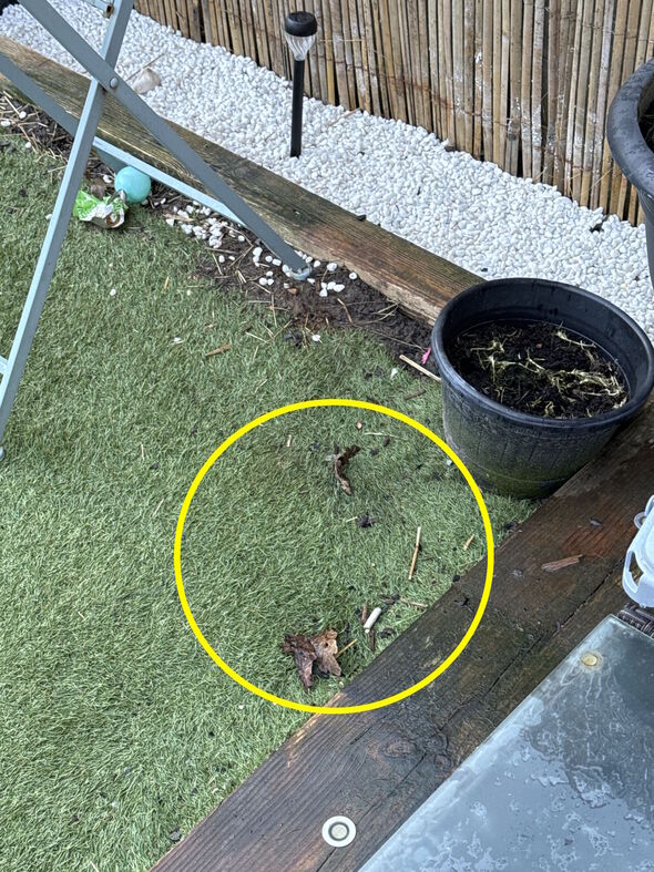 The 26-year-old believes the person who reported it may have mistaken garden bark, circled, for dog faeces