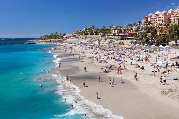 Playa del Duque beach