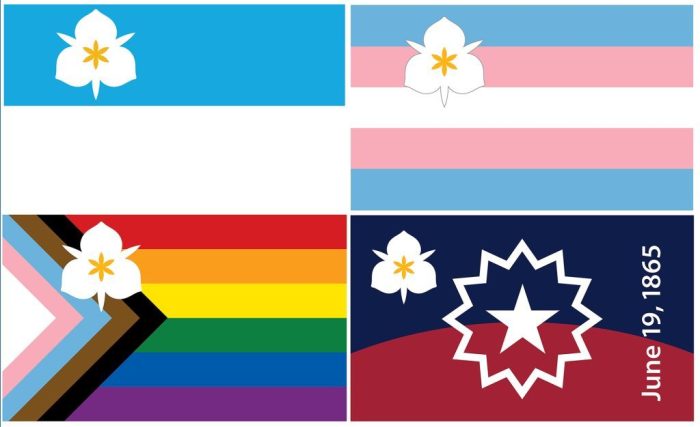 Salt Lake City Mayor Erin Mendenhall proposed adopting three new city flags in addition to the traditional Sego Lily Flag.