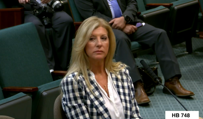 Cindy Clemishire, 55, testified before the Texas House Judiciary and Civil Jurisprudence committee to support House Bill 748 of 'Trey's Law' that would prohibit nondisclosure agreements in civil settlement agreements involving victims of child sex abuse and trafficking.