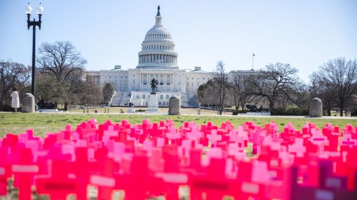 Pink crosses displayed outside of the U.S. Capitol Building in Washington, D.C., in March 2025 as part of a pro-life rally calling for the defunding of all abortion vendors.