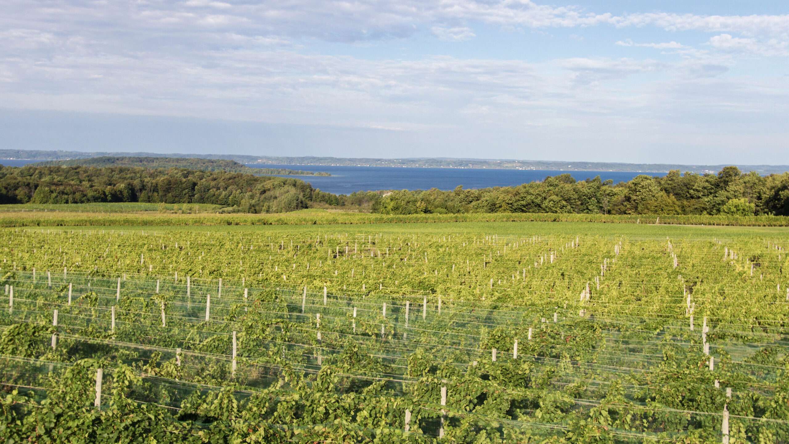 Michigan wineries win $50 million in fight against local zoning rules