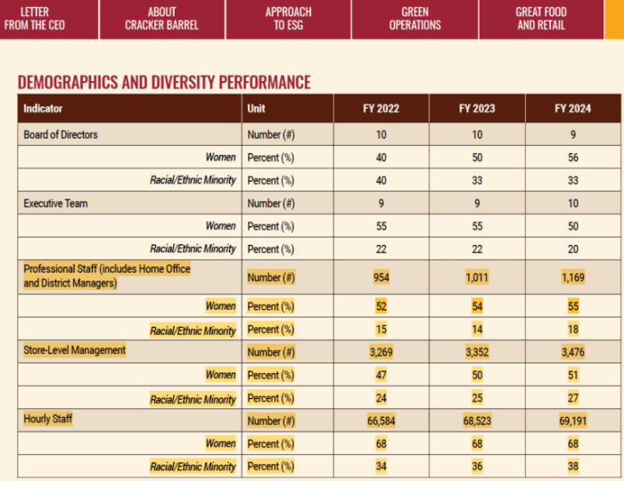 A screenshot of Cracker Barrel's 'Demographics and Diversity Performance' provided by America First Legal