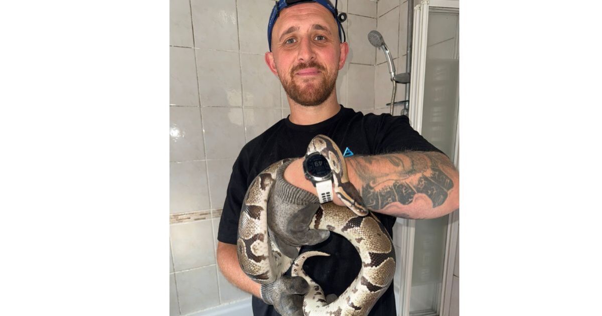 Man has fright of life after finding huge snake in his bathroom | UK | News