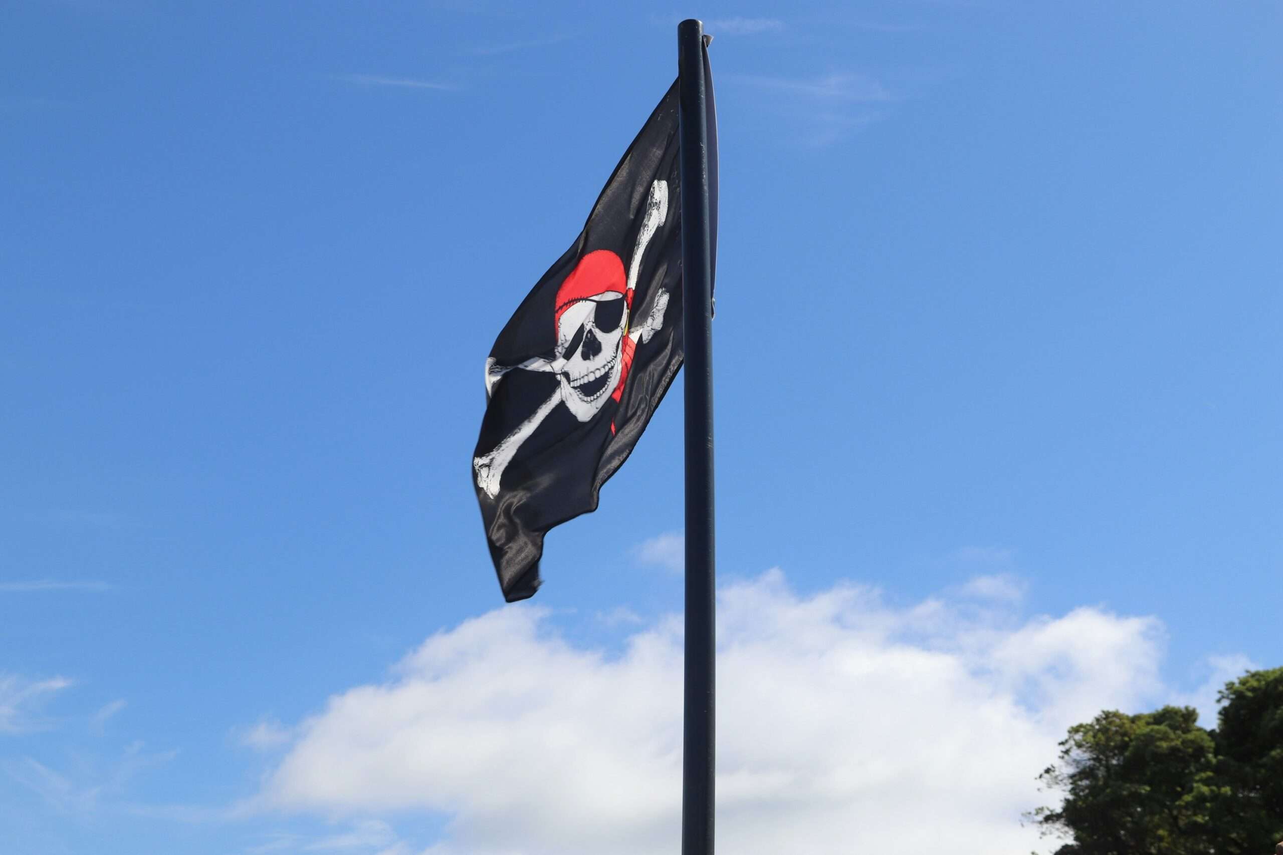 Pirate porn study finds no difference in sexual attitude after seeing X-rated video