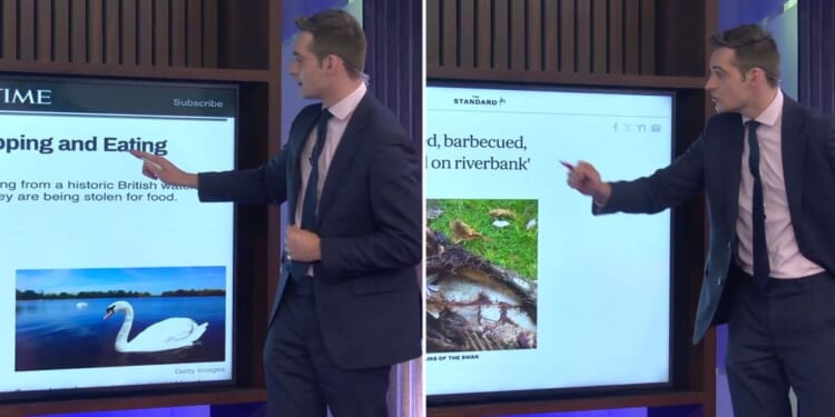 Tom Harwood points to evidence after Nigel Farage claims migrants are eating swans