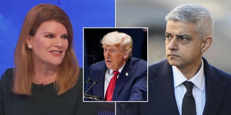 Sadiq Khan's attack on Donald Trump torn apart by Republican: 'Just a good distraction!'