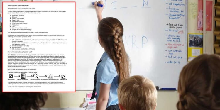 Portsmouth parents slam shocking study as 11-year-olds asked about gender and sexuality
