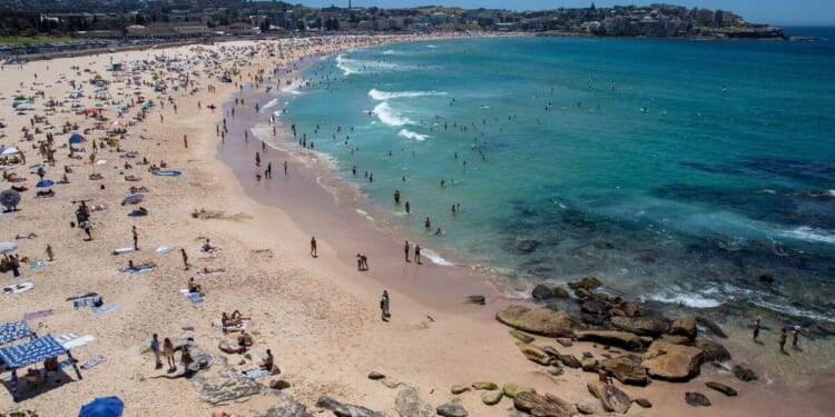 Hundreds of UK workers asked to move to Australia for in demand roles | UK | News