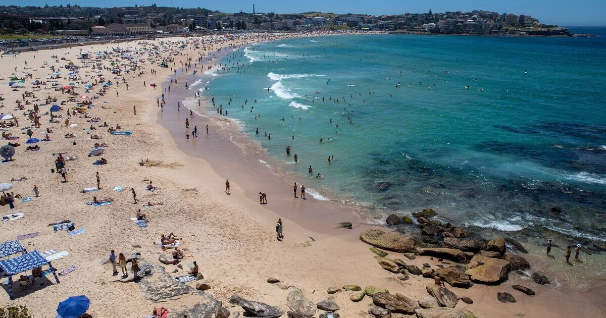 Hundreds of UK workers asked to move to Australia for in demand roles | UK | News