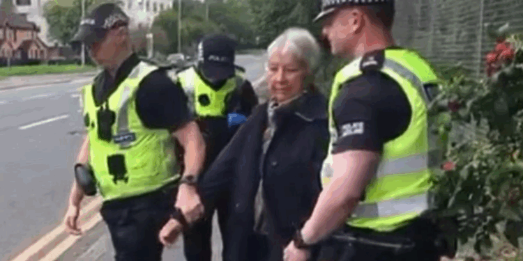 Grandmother Rose Docherty led into police van and arrested after holding 'here to talk' sign outside hospital