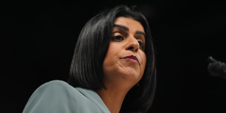 Home Secretary finally admits asylum hotels are 'total disaster' but claims Britain 'needs migration'