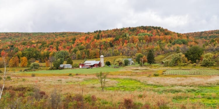 Cooperstown anchors a fall road trip through Otsego