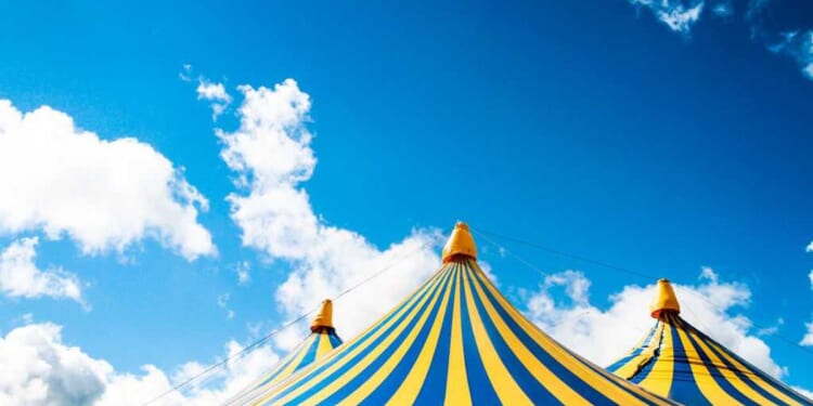 Acrobat falls to death during trapeze stunt at circus