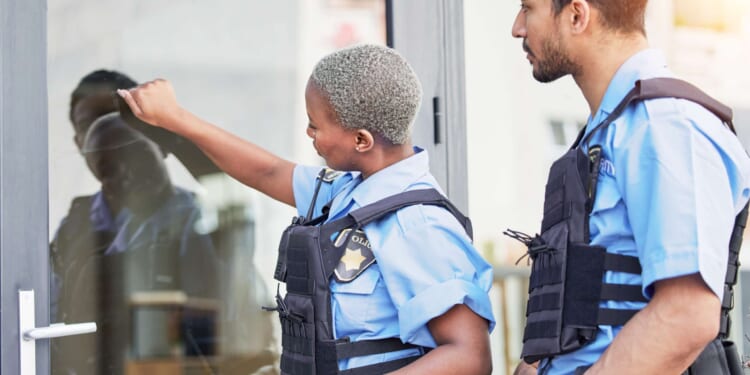 Brickbat: Who's There?