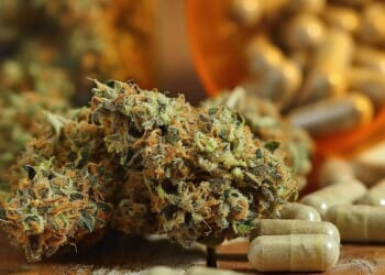 Cannabis isn’t the cure for chronic pain