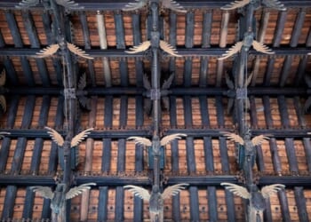 Faith: Angel roofs of England