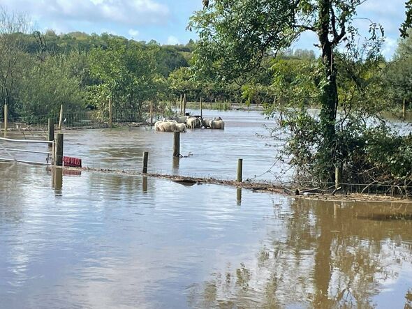 A flooded area of land