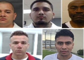 ICE Continues Arrests of ‘Criminal Illegal Aliens’ Following Shooting