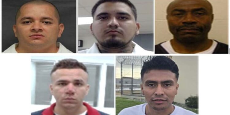 ICE Continues Arrests of ‘Criminal Illegal Aliens’ Following Shooting