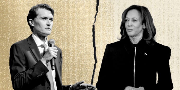 Kamala Harris slams Trump for 'fentanyl dealer Ross Ulbricht' pardon