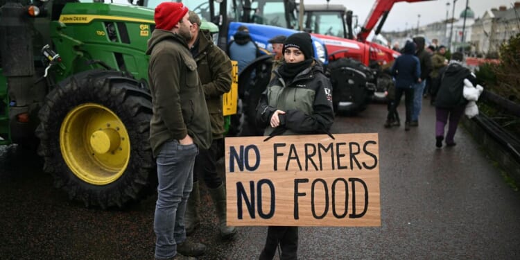 Labour slammed for 'total disregard' of farmers over deadly weed outbreaks | UK | News