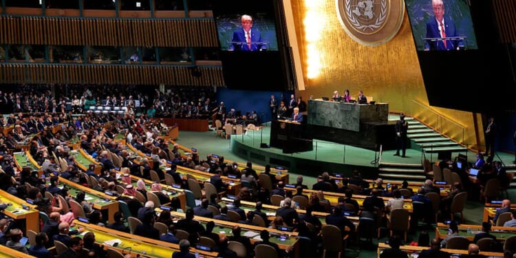 Leftist Assaults Trump Official At UN Following ‘Triple Sabotage’