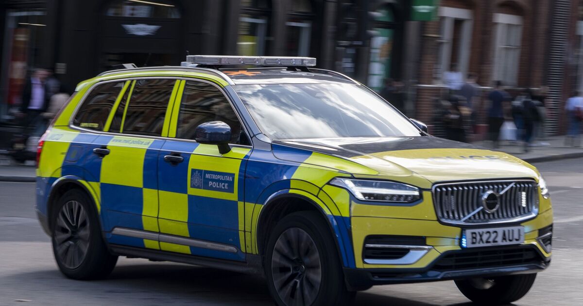Motorists in London warned over crime spree as thieves steal 1 item | UK | News