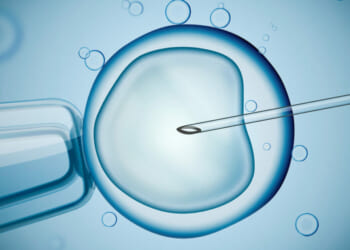 New IVF embryo test risks 'discriminatory eugenics practices,' bioethicist warns