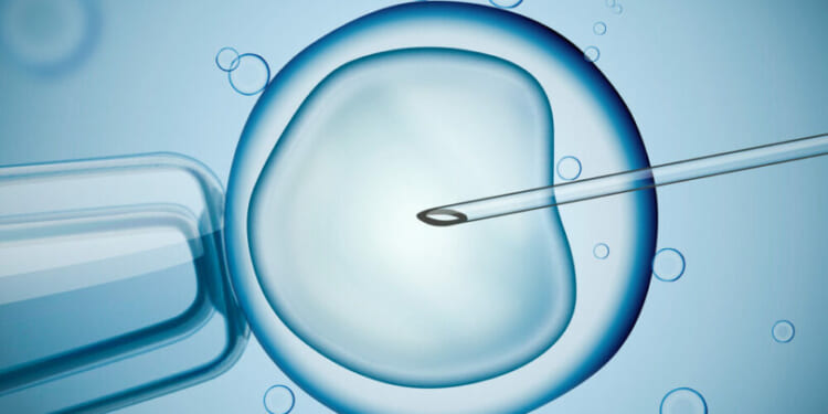New IVF embryo test risks 'discriminatory eugenics practices,' bioethicist warns