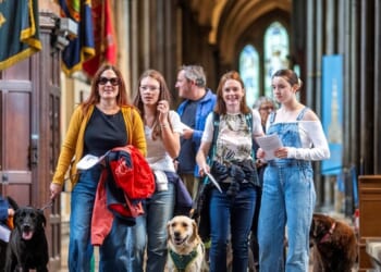 Panentheistic beliefs among Christian climate activists, report suggests