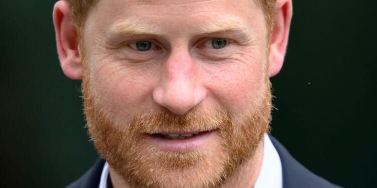 'Prince Harry must be allowed back as a working royal to save the Firm' | Royal | News