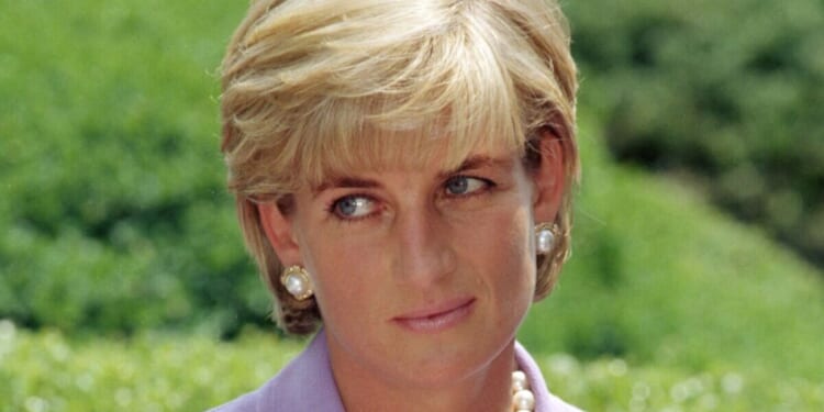 Princess Diana's hairdresser sets record straight on hurtful Prince Harry rumour | Royal | News