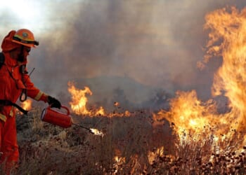 Signs of a ‘Total Systems Collapse’ Are Everywhere