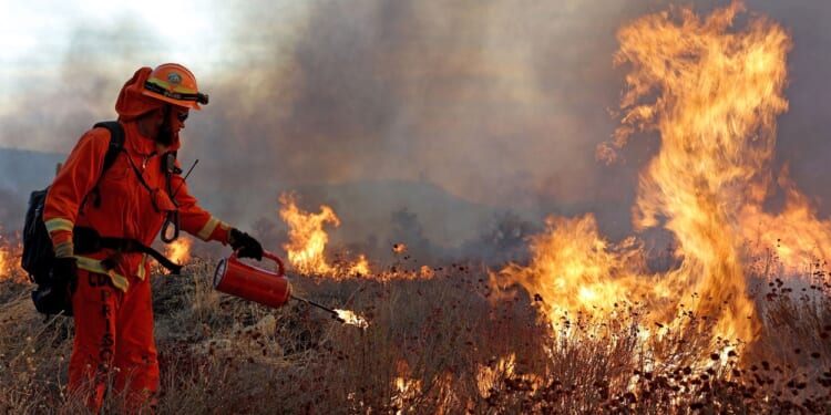 Signs of a ‘Total Systems Collapse’ Are Everywhere