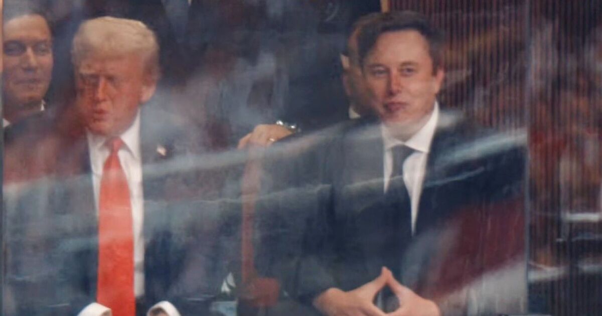 The biggest bromance is back: Elon Musk and Donald Trump reunite | US | News
