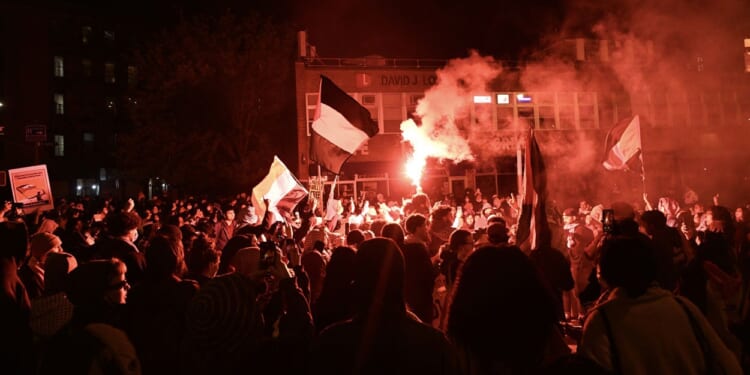 This Political Violence Didn’t Start in the Streets, It Started in the Halls of Academia