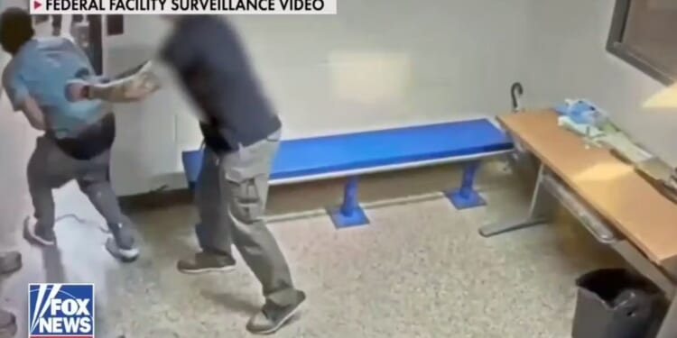 Video Shows ICE Agents Shielded Detainees During Deadly Shooting