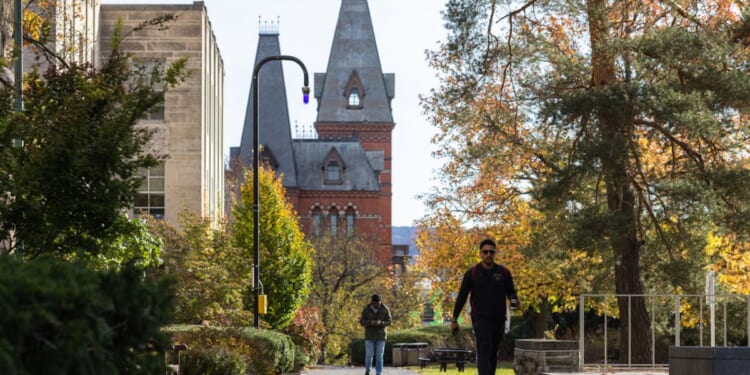 Who Lost The Liberal Arts — And Can We Get Them Back?