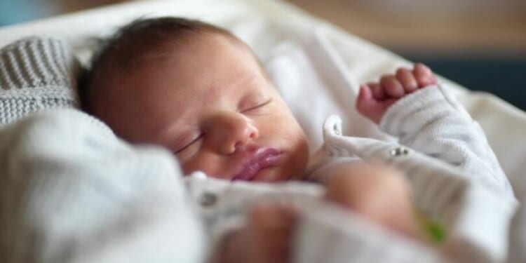 Woman charged after remains of four dead babies found in home