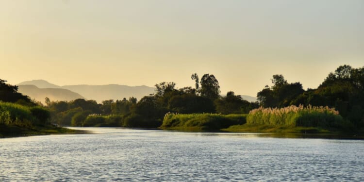 'All clues point to this'