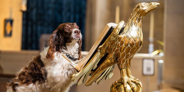 Photo stories of the week