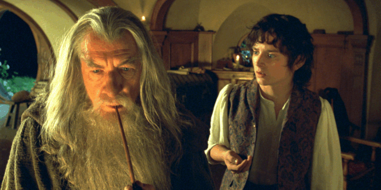 Students taught Lord of the Rings is 'anti-African' and must be 'decolonised' at University of Nottingham