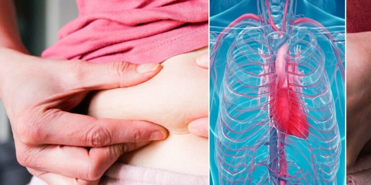 'Wake-up call' as silent artery damage linked to hidden 'kind of fat'
