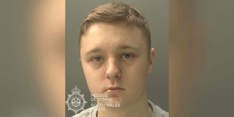 'Sick' teenager jailed for sexually abusing 37 girls online
