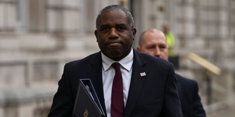 'Vladimir Putin wants Nigel Farage to win and divide Europe'