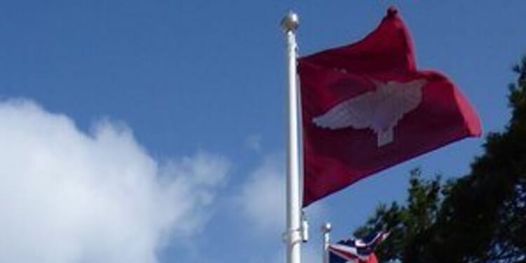 Council breached its own equality rules in flag row, watchdog finds