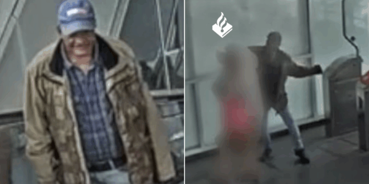 Pensioner, 82, beaten unconscious after trying to stop fare-dodger barging through barriers behind her